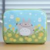 Accessories | Maison Ghibli Pouch Totoro Dandelion Fields - My Neighbor Totoro