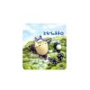 Magnets | Maison Ghibli Set Magnet Totoro Ride On Wind - My Neighbor Totoro